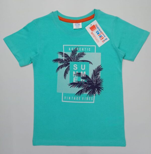 Boys T-Shirts - Image 4